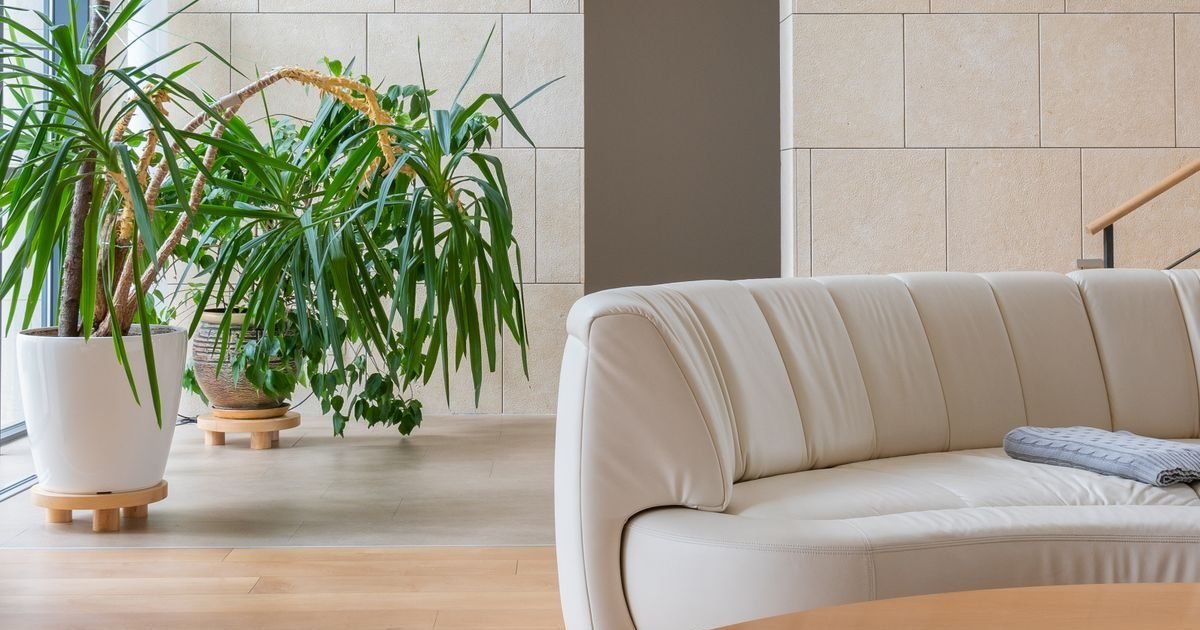 Sala de estar clara com sofá e plantas, ilustrando a visita em casa de famílias de uma pessoa